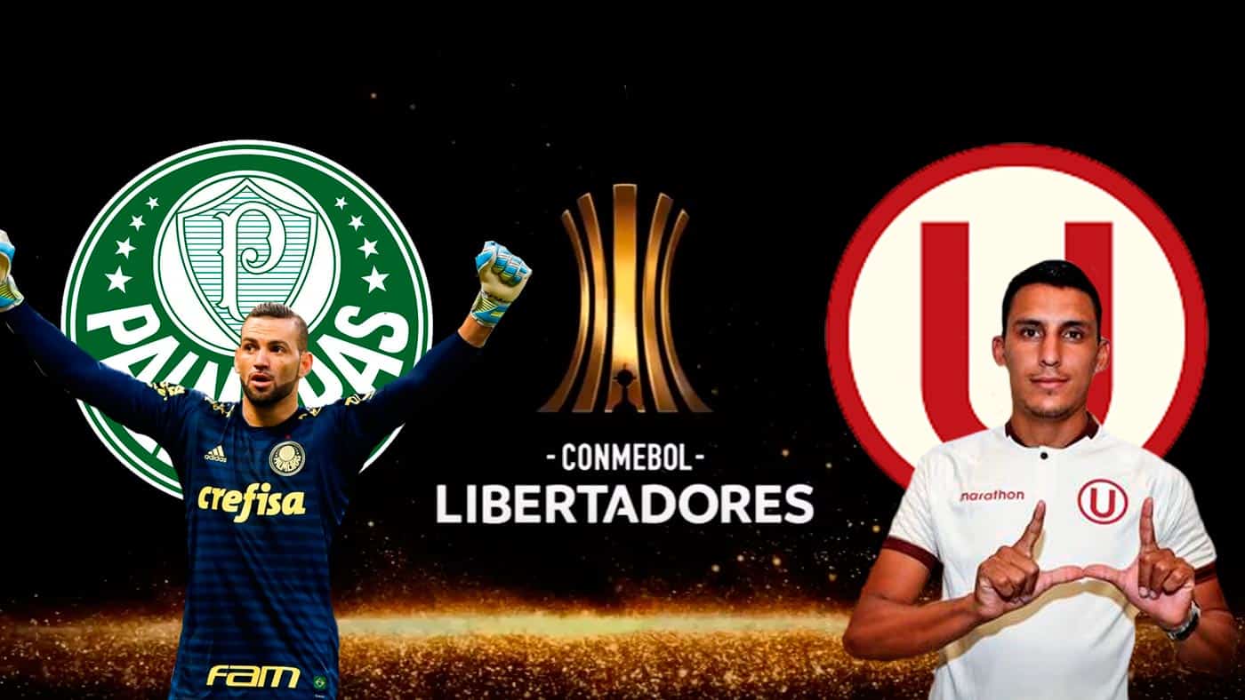 Palmeiras x Universitario: Palpite do jogo da fase de grupos da Libertadores (27/05)