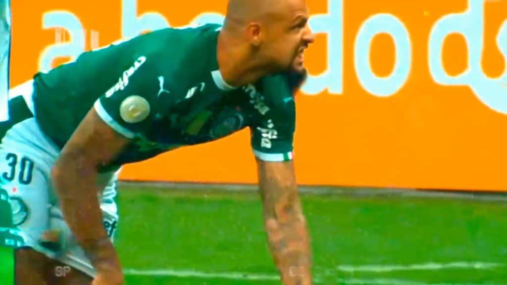 Sem permanecer no Palmeiras em 2022, Felipe Melo diz que joga mais dois anos