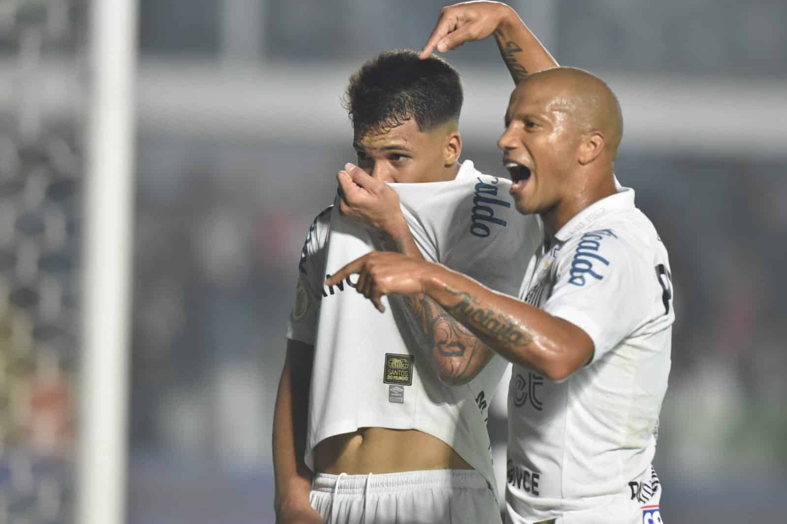 Santos vence o Botafogo: confira os melhores momentos
