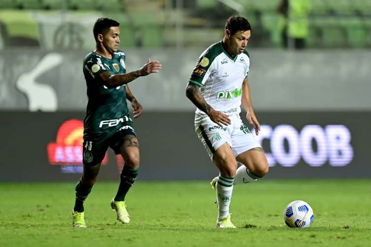 América-MG x Palmeiras: onde assistir ao vivo, horário e escalação