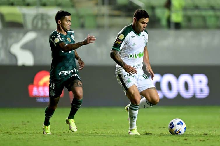 Palmeiras x América-MG: onde assistir ao vivo na TV e online, que