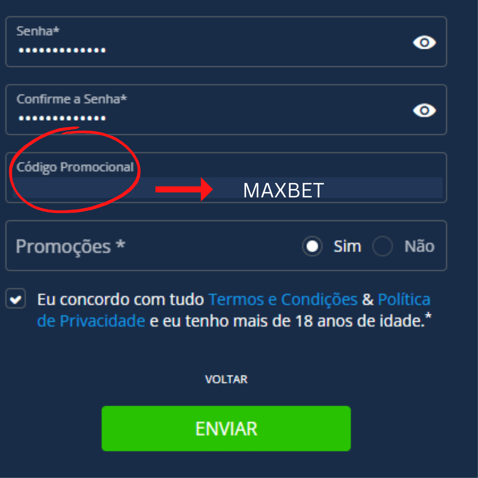 site de aposta que paga mais