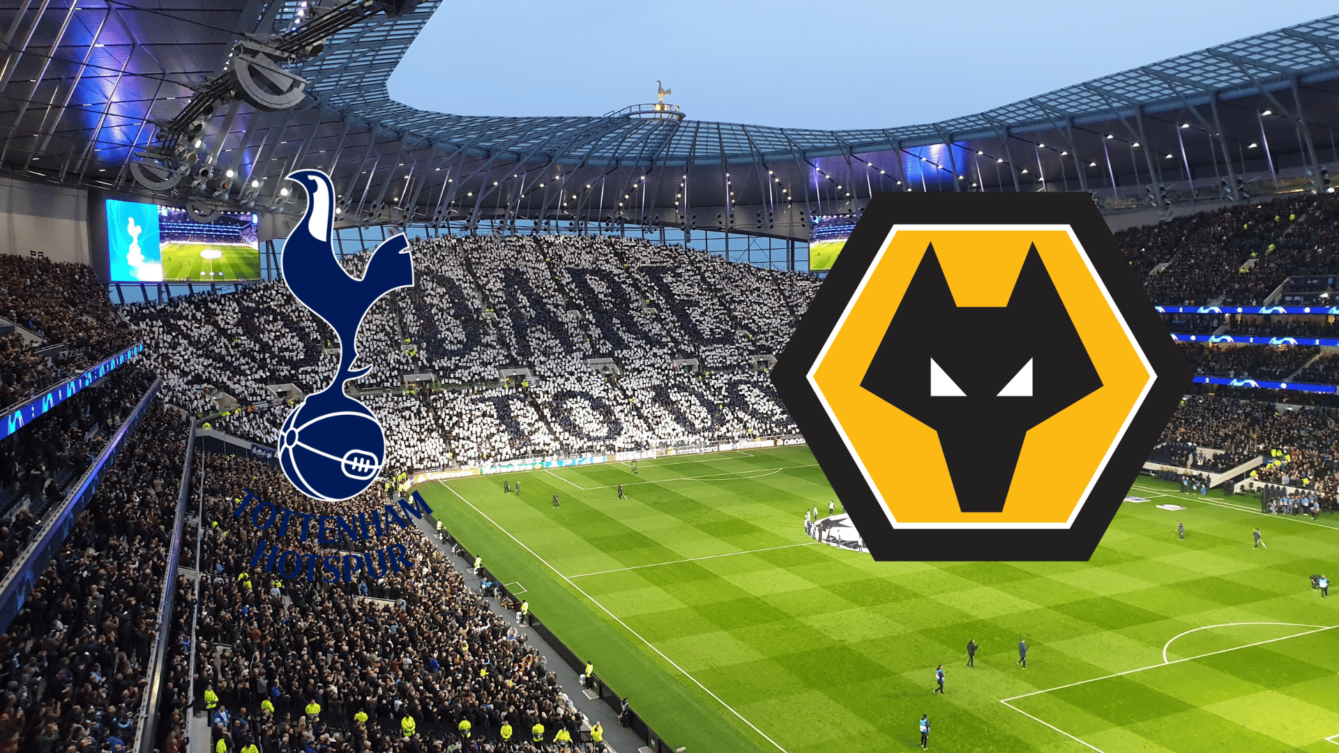 Tottenham x Wolverhampton onde assistir ao vivo, horário e escalações