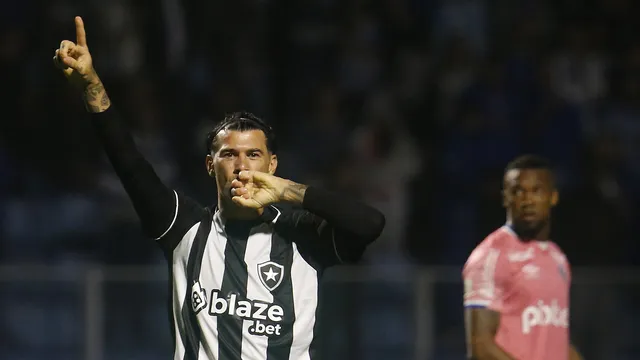 Botafogo vence o Avaí: confira os melhores momentos