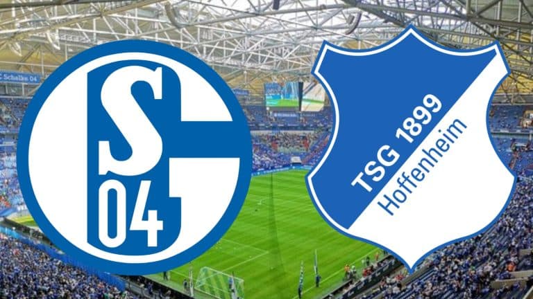 Schalke 04 x Hoffeinheim