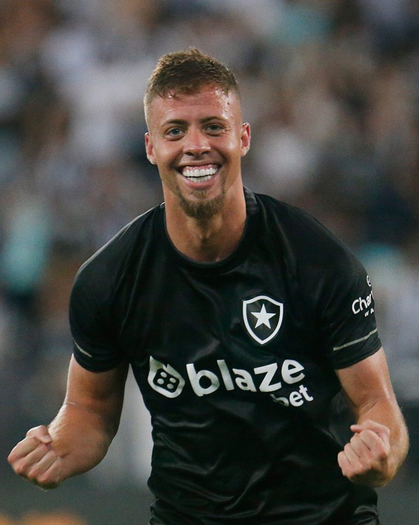 Botafogo vence Santos: confira os melhores momentos