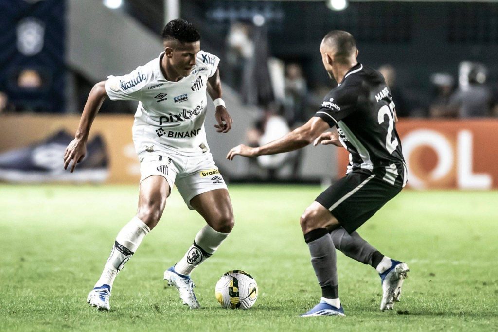 Botafogo x Santos: onde assistir ao vivo, horário e escalações