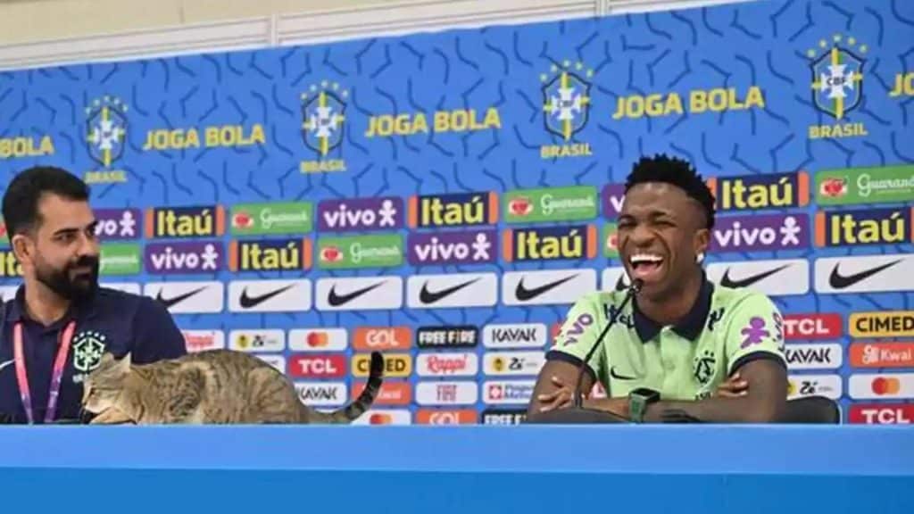 Assessor da Seleção Brasileira é criticado após retirar gato de entrevista coletiva