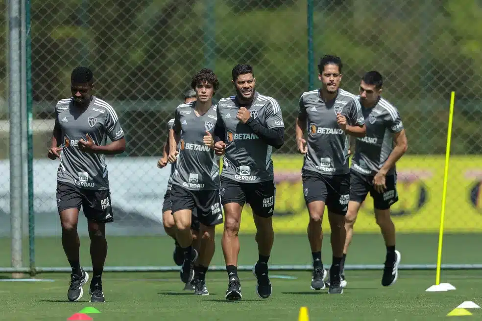 Galo ao vivo treino