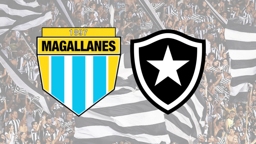 Botafogo x Magallanes – onde assistir ao vivo, horário do jogo e escalações