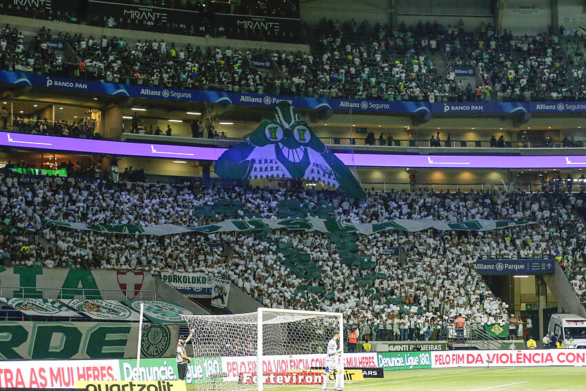 DESESPERADOR! Torcedora do Palmeiras decide processar time após humilhação