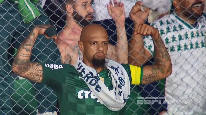 Veja quem são os 5 maiores volantes da história do Palmeiras