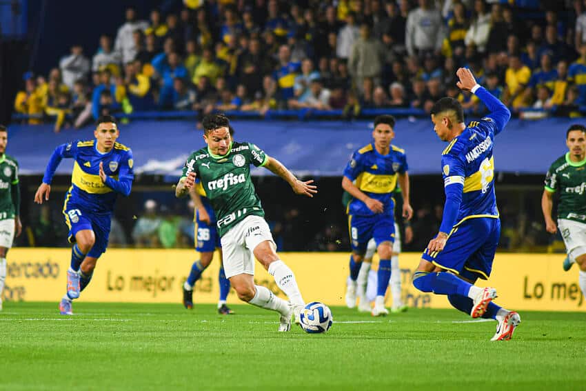 IH, SERÁ ISSO MESMO? Gato vidente prevê quem avança pra final da Libertadores entre Palmeiras x Boca Juniors